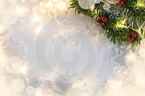 Christmas tree branch on a white background with holiday garland lights.