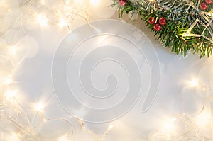 Christmas tree branch on a white background with holiday garland lights.