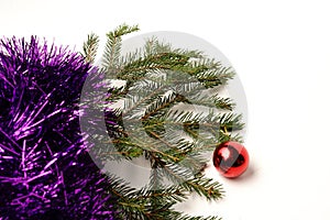 Christmas tree branch on white background. Isolate. The view from the top