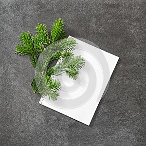 Christmas tree branch white papaer stone background Flat lay