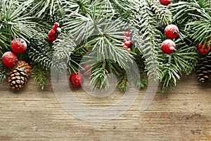 Christmas tree branches background