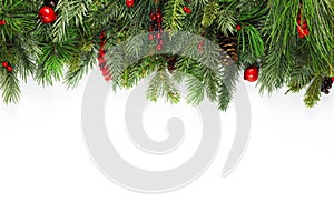 Christmas tree branches background photo