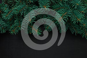 Christmas tree branches on dark wooden background with copy space. horizontal