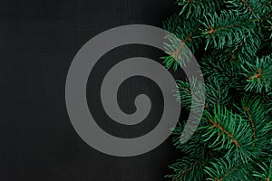 Christmas tree branches on dark wooden background with copy space. Merry Christmas