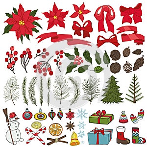 Christmas tree branches, flowers, decoration set