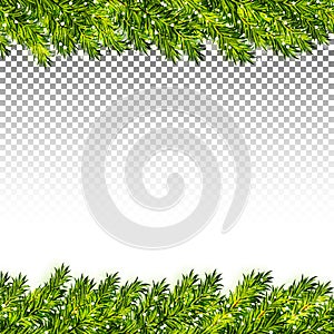 Christmas tree branches frame on transparent background vector