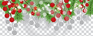 Christmas tree branches with holly berries on a transparent background. Holidays decoration banner. Vector