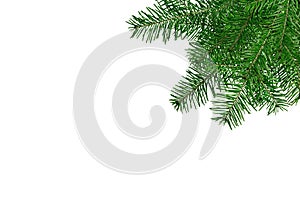 Christmas tree branches isolated over white