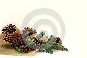 Christmas Tree Branches, Pine Cones, and Burlap Border White Background photo