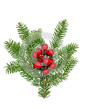 Christmas tree branches red berries decoration