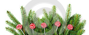 Christmas tree branches and red lolipop as decor on a white background. View from above.