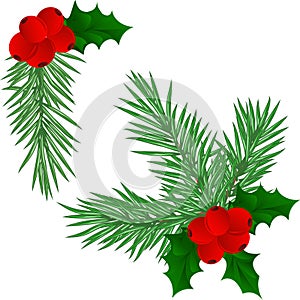 Christmas tree branches set for Christmas decor. Branches close-up. Collection of pine branches. Vector set of christmas graphic