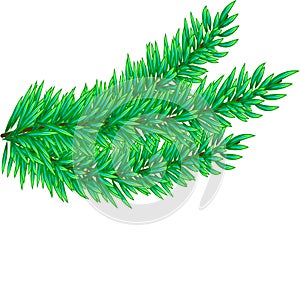 Christmas tree branches set for decoration. Spruce branches of different shapes. Vector illustration