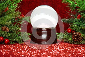 Christmas tree branches with snowglobe