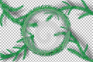 Christmas tree branches on tranparency background.vector