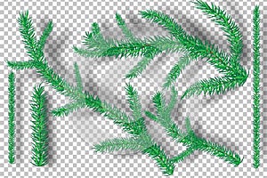 Christmas tree branches on tranparency background.vector