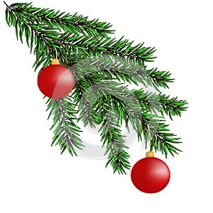 Christmas-tree branches