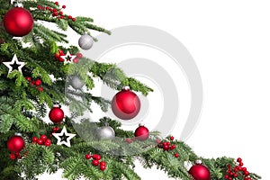 Christmas tree branches on white background