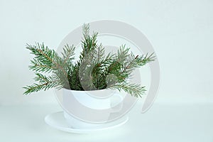 Christmas tree branches in a white cup on saucer on a white background
