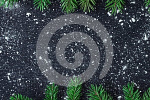 Christmas tree branches on winter snowflakes black space background