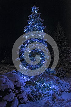 Christmas tree with bright festive blue lights in winter night forest.