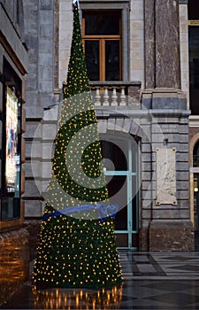 Christmas tree in Brussels