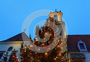 Vánoční strom a katedrála