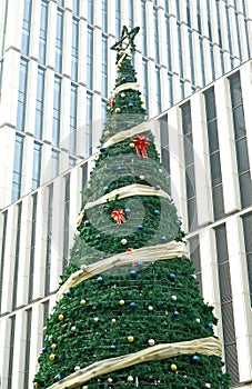 Christmas tree in CBD