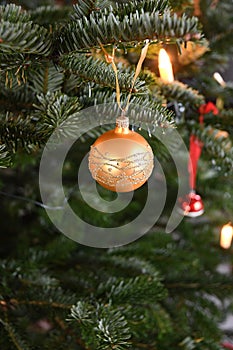 CHRISTMAS TREE ON CHRISTMAS DAY COPENHAGEN