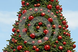 Christmas tree. Christmas 2023. Merry Christmas and New Year 2024. Greeting card design and sale banner