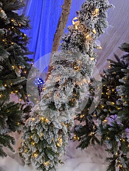 Christmas tree in the Citi photo
