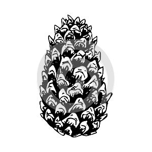 Christmas tree cone, sketch, black outline isolated on white background, stock illustration for design