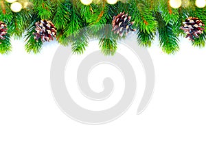 Christmas tree with cones border background