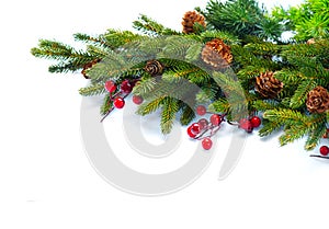 Christmas tree with cones border isolated on white