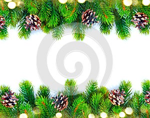 Christmas tree with cones border isolated on a white background