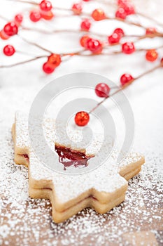 Christmas Tree Cookie