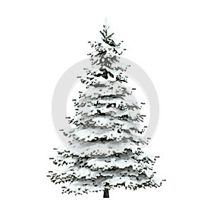 Christmas tree covered with snow on white background - 3D render
