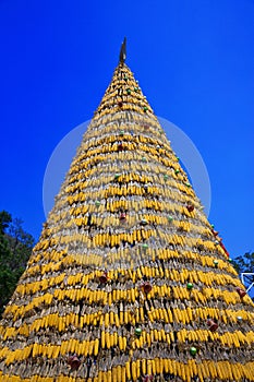 Christmas tree decorated with corn.