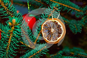 Christmas tree decorated with dried orange. Organic christmas decoration. Holiday background.