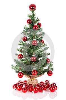 Christmas tree decorated with red balls isolated at white