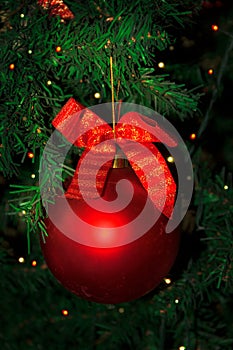 Christmas tree decorated with red bauble hanging