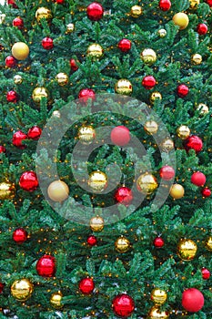 Christmas tree decorated with red and golden christmas balls. New Year, festive background