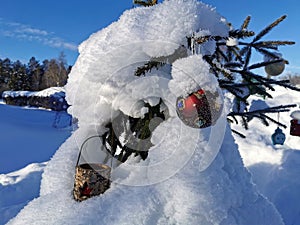 Christmas tree, decorated and snow cowered