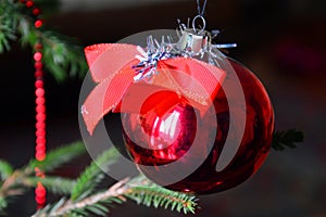 Christmas tree decoration for the New year. A red glass ball on a string hangs on a Christmas tree branch.