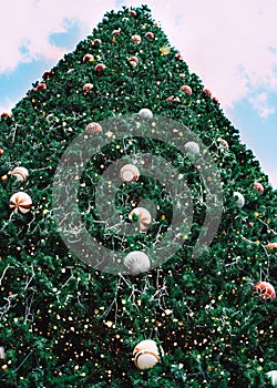 Christmas tree with decoration and ornament