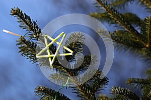 Christmas tree decoration,