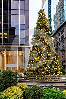 A decorated evergreen Christmas tree in front of an office building in NYC