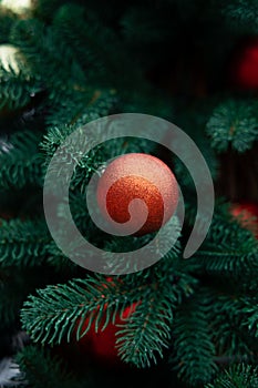 Christmas tree decoration red ball object on needle branch, festive vertical photo