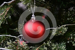 Christmas Tree Decorations