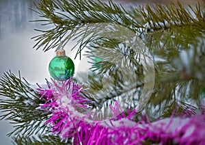 Christmas tree decorations in the form of glass balls hanging on a spruce branch with needles, snow and a blurred background